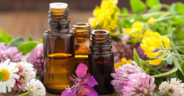 Beginner’s Guide to Essential Oils: Where to start when the selection of aromatherapy and spa products seems daunting